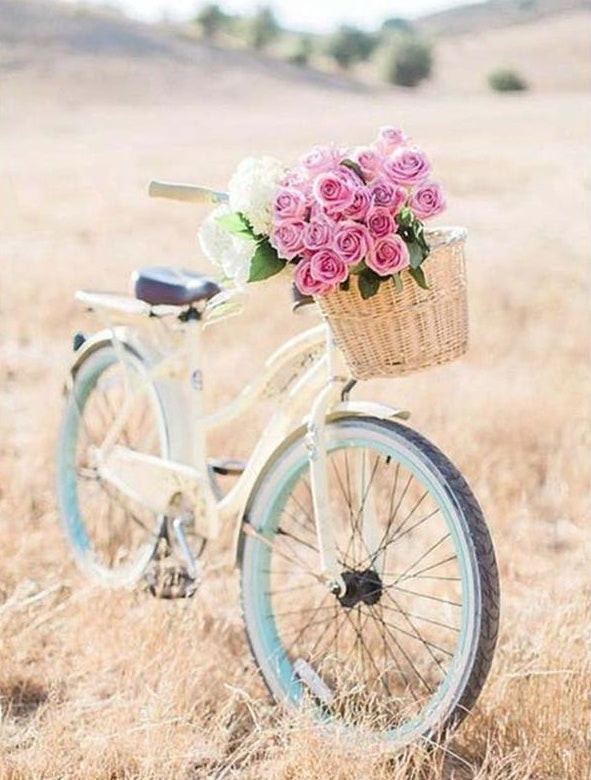 Bicicleta con Flores en el Césped Pintar por Números