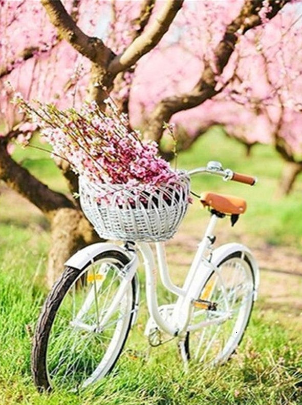 Bicicleta y Árbol en el Césped Verde Pintar por Números
