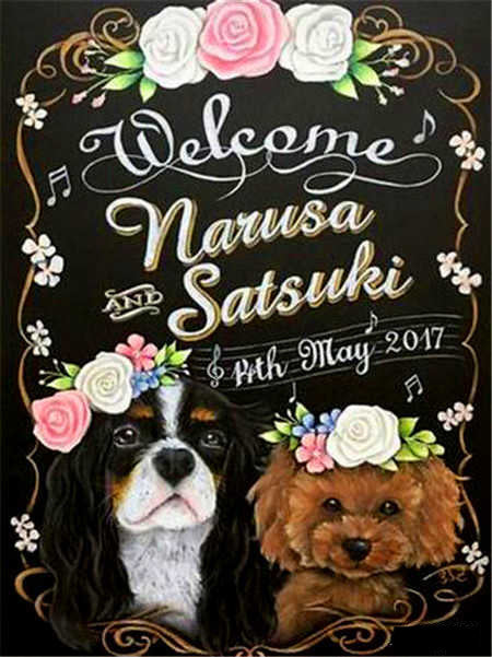 Bienvenida a Dos Perros de Pelo Rizado Pintar por Números