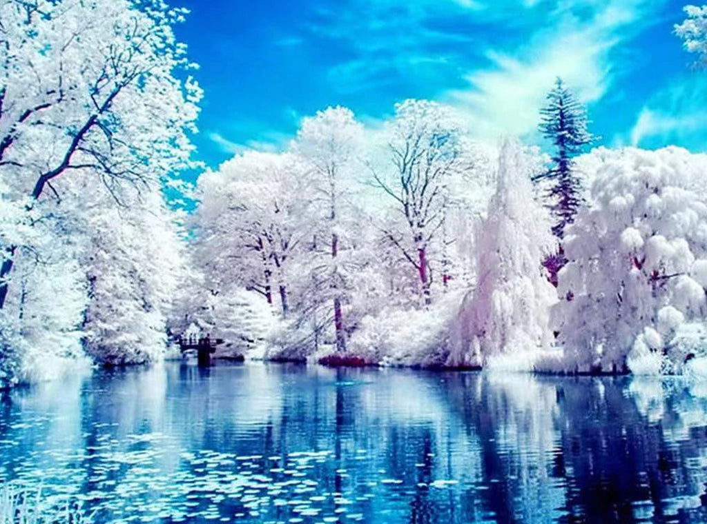 Bosque con Nieve Blanca y Lago Pintar por Números