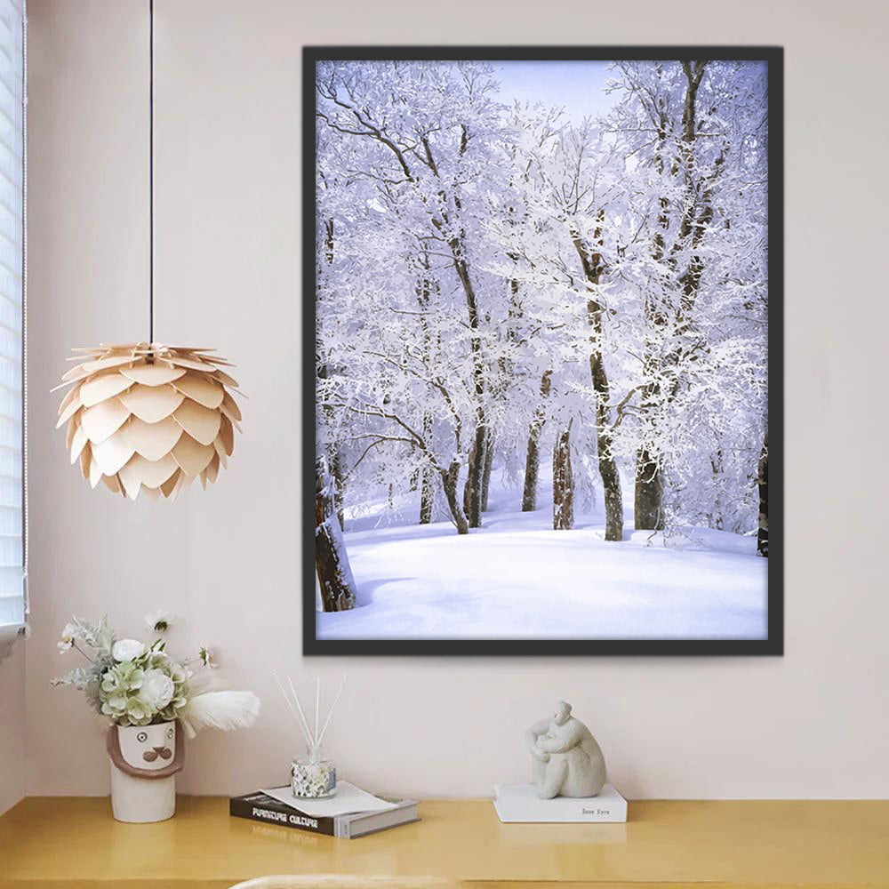 Bosque Cubierto de Nieve Blanca Pintar por Números