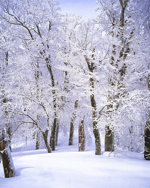 Bosque Cubierto de Nieve Blanca Pintar por Números