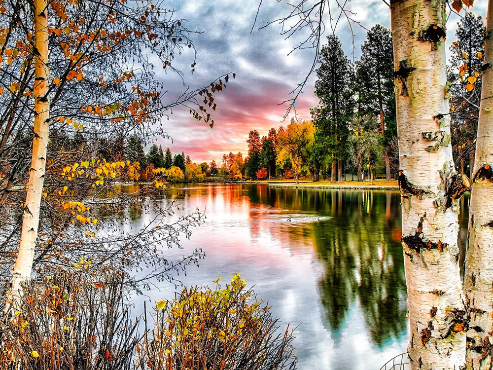 Bosque de Otoño en las Orillas del Río Pintar por Números