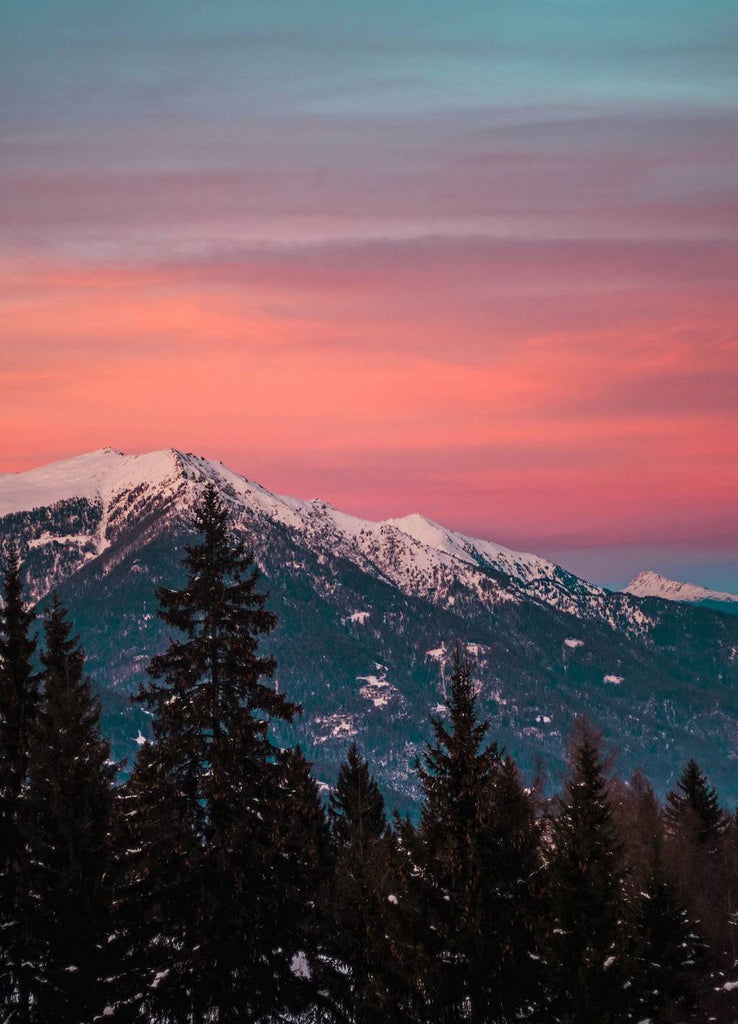 Bosque de Pinos y Montañas Nevadas Pintar por Números