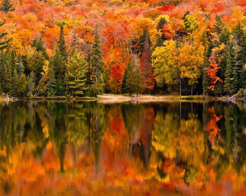 Bosque Otoñal en el Lado de Lago Pintar por Números