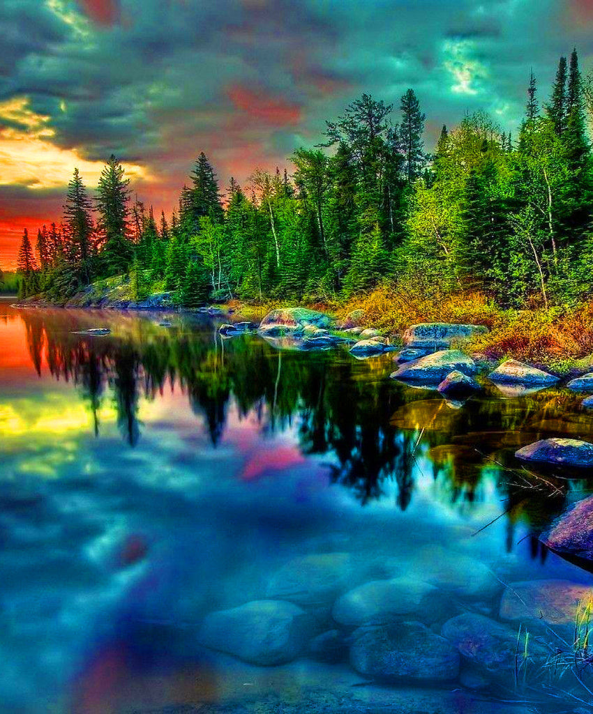 Bosque Verde y Nubes Coloridas Pintar por Números