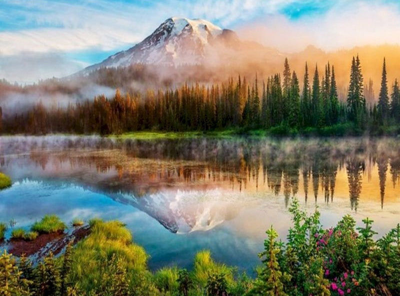 Bosque y Montañas con Niebla Pintar por Números