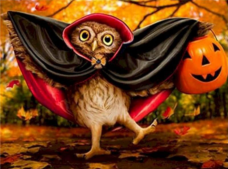 Búho Adorable de Capa Vampiro Pintar por Números