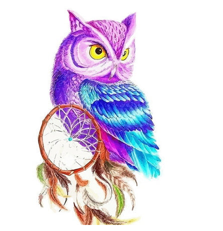 Búho Colorido con Atrapasueños Pintar por Números