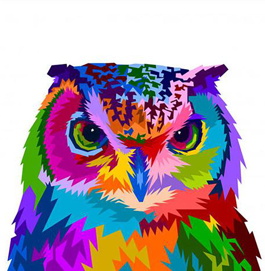 Búho Colorido y Fondo Blanco Pintar por Números
