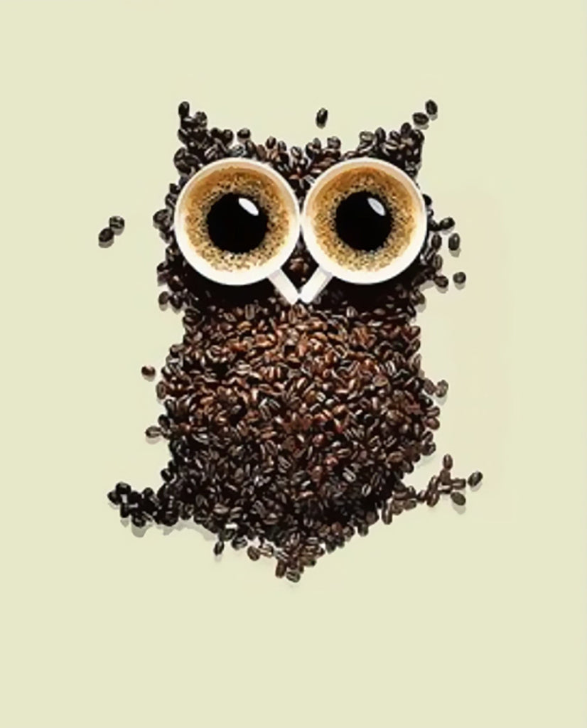 Búho de Granos de Café Pintar por Números