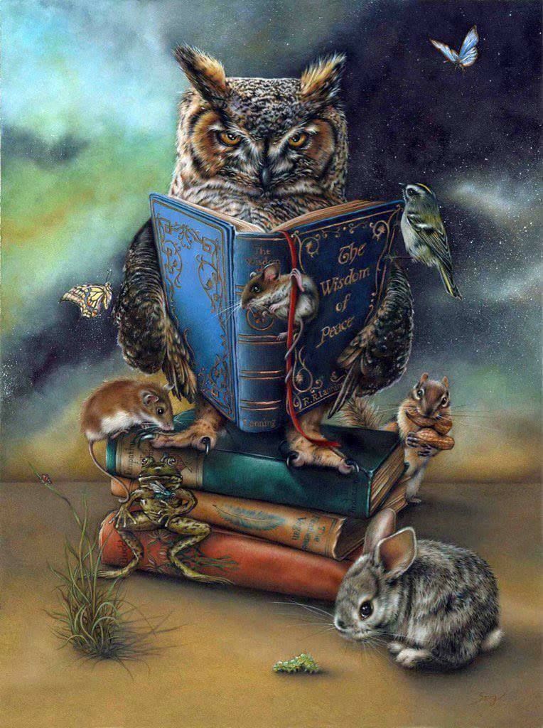 Búho Leyendo Libro con los Otros Animales Pintar por Números