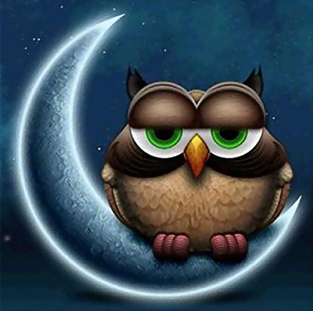 Búho Marrón sobre Luna Pintar por Números
