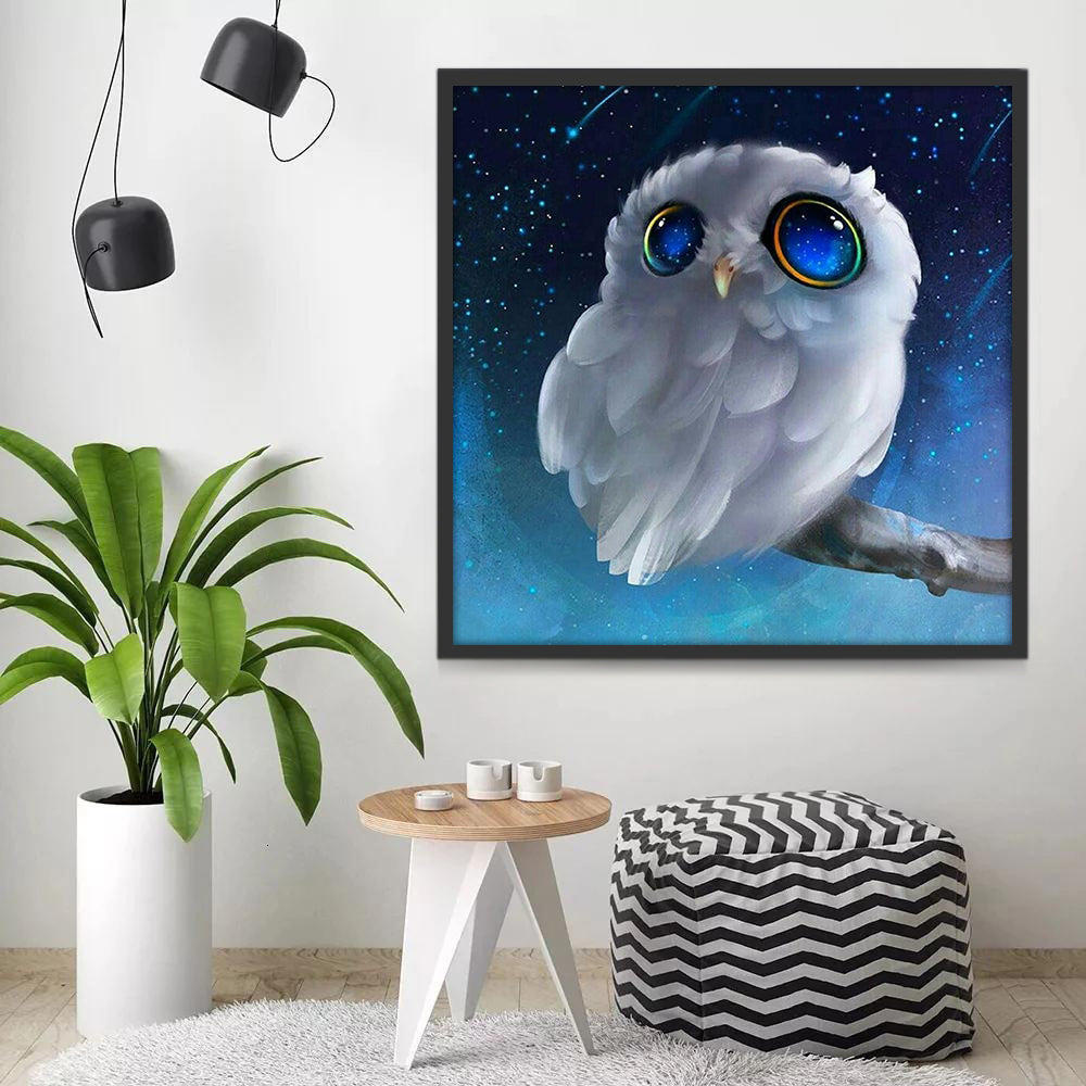 Búho Mirando Estrellas Pintar por Números