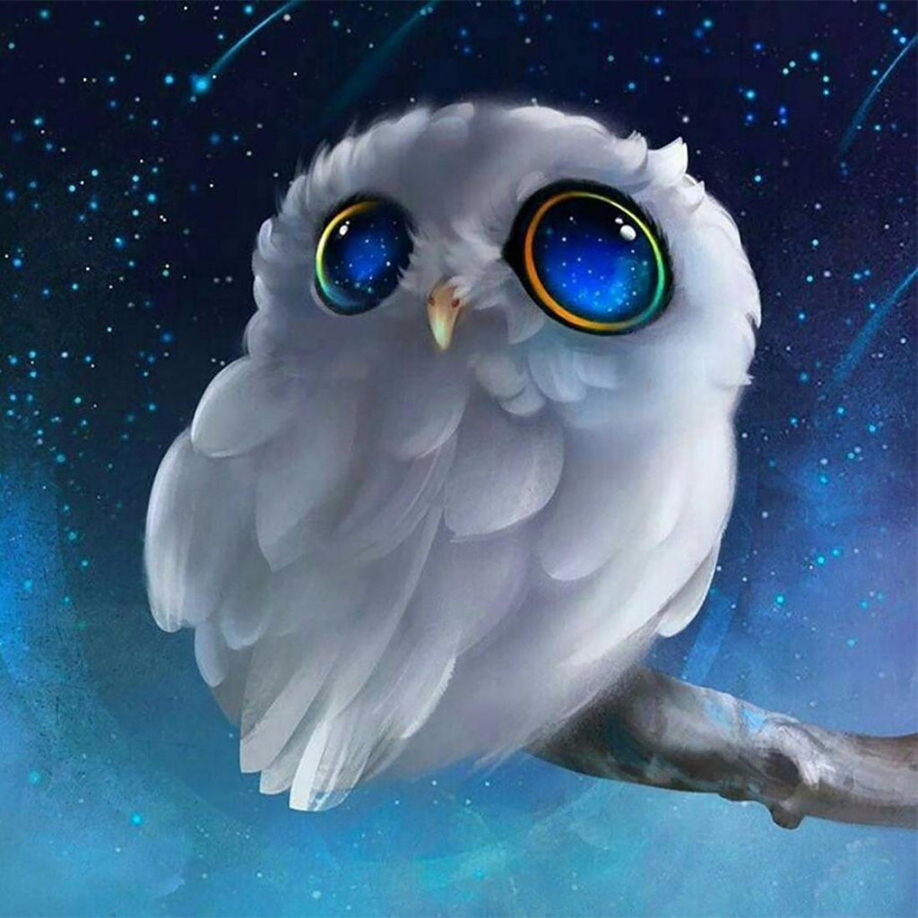 Búho Mirando Estrellas Pintar por Números