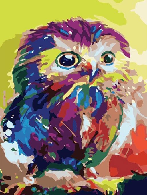 Búho Pequeño Colorido Lindo Pintar por Números