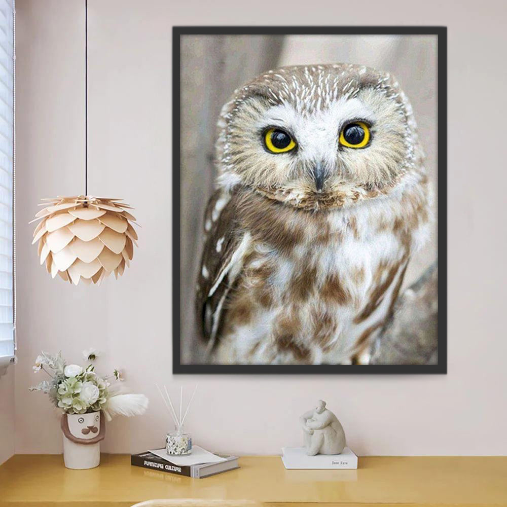 Búho Pequeño Lindo Pintar por Números