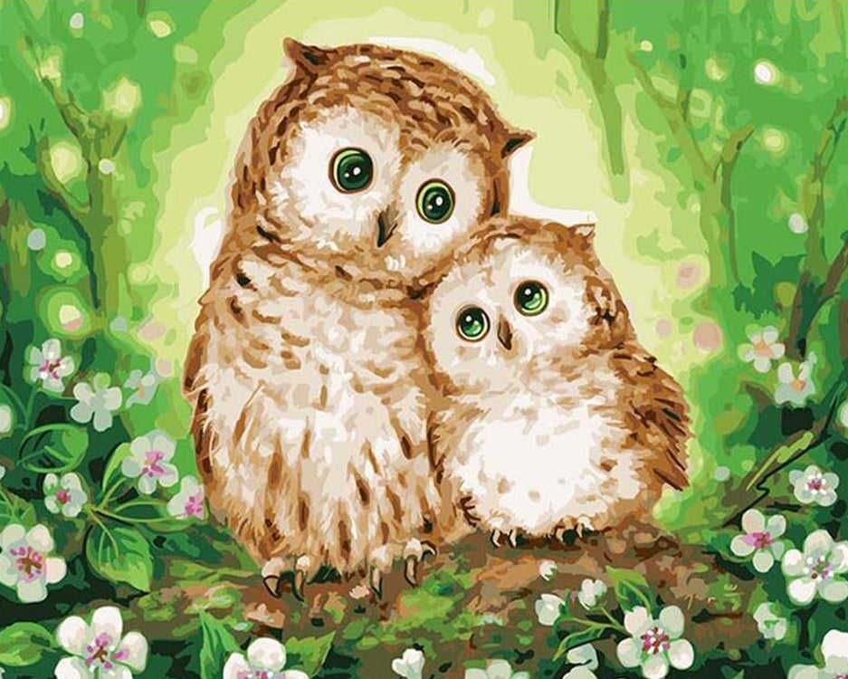 Búhos Lindos con Fondo Verde Pintar por Números