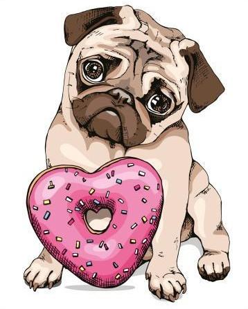 Bulldog con Dónut de Forma Acorazonada Pintar por Números