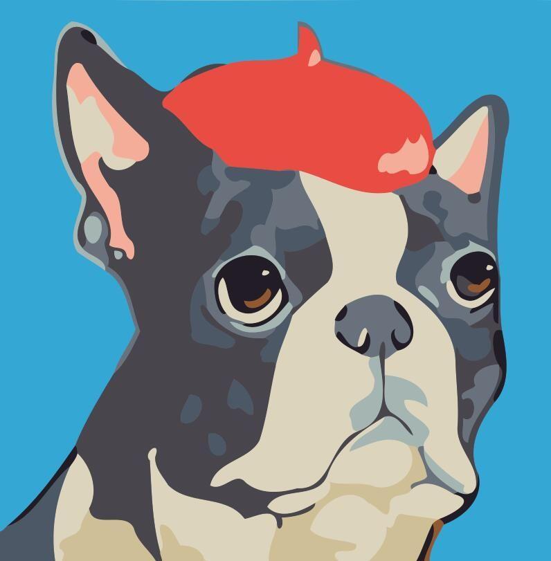 Bulldog con Gorro Rojo Pintar por Números Niños