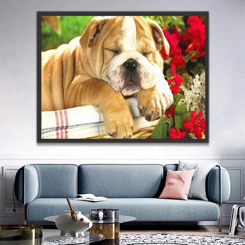 Bulldog Dormido y Flores Rojas Pintar por Números