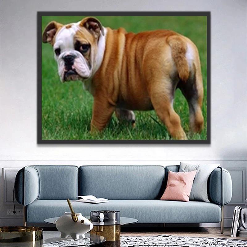 Bulldog en el Césped Pintar por Números