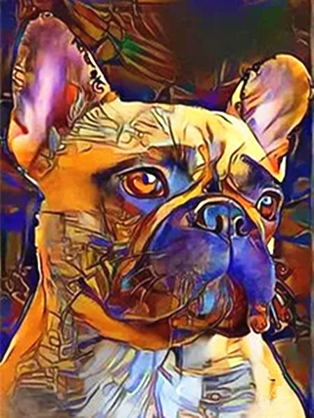 Bulldog en Estilo Abstracto Pintar por Números