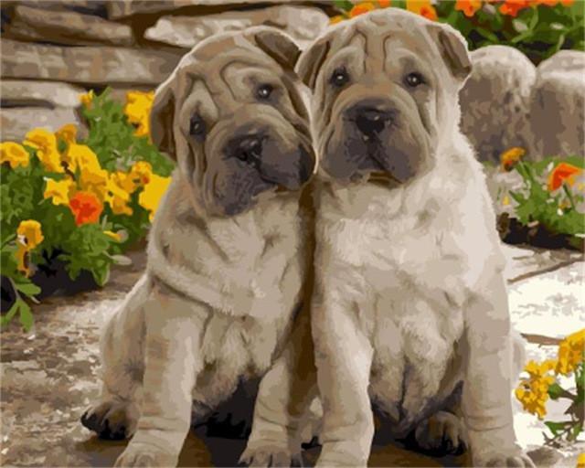 Bulldog Lindo y Flores Amarillas Pintar por Números