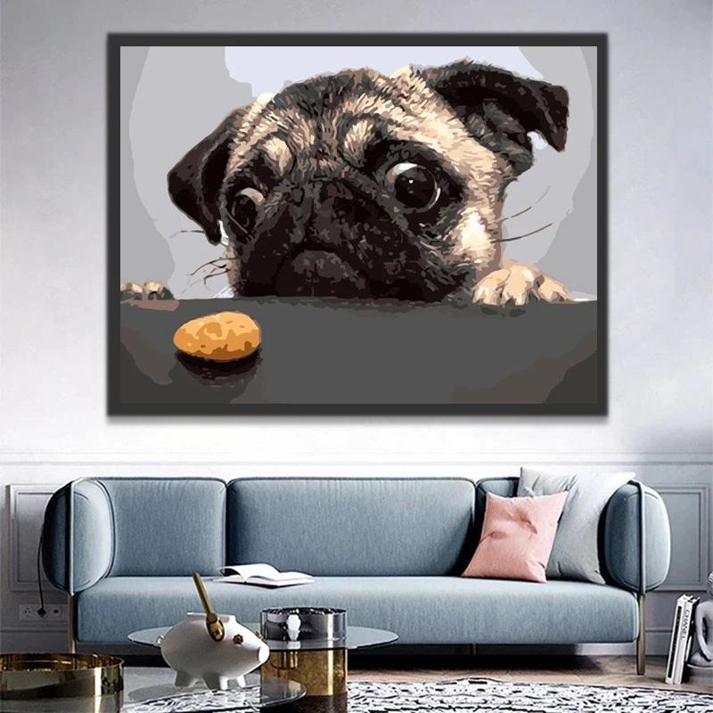 Bulldog Mirando Comida Pintar por Números