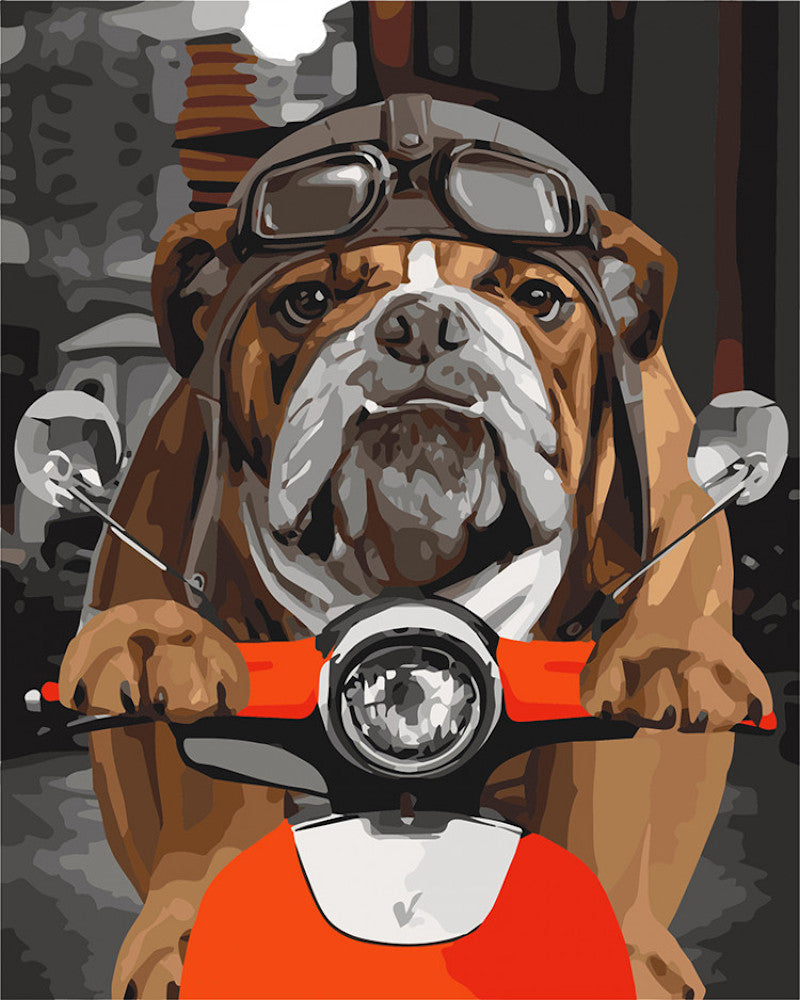 Bulldog Montando en Ciclomotor Eléctrico Pintar por Números