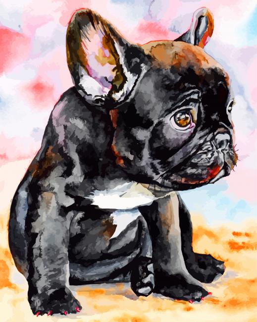 Bulldog Negro Pintar por Números