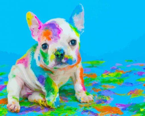 Bulldog Pequeño Colorido Pintar por Números
