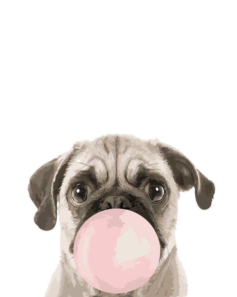 Bulldog y Burbuja Rosa de Chicle Pintar por Números