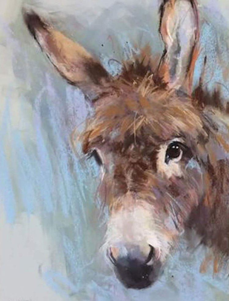 Burro Hermoso Pintar por Números