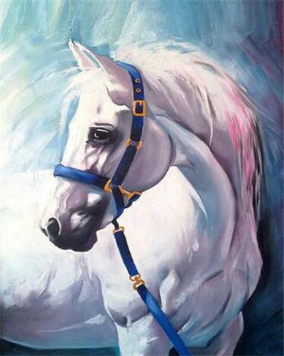 Caballo Blanco con Cabestro Azul Pintar por Números