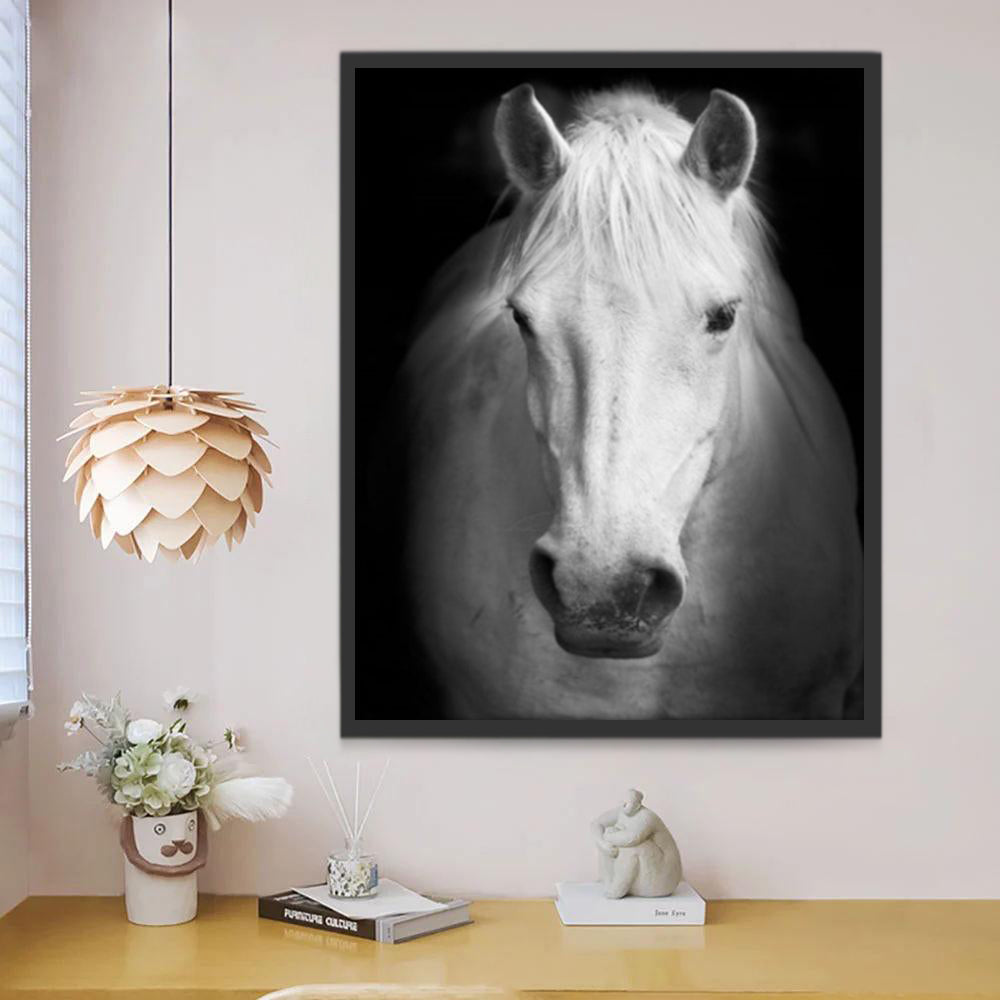 Caballo Blanco con Fondo Negro Pintar por Números