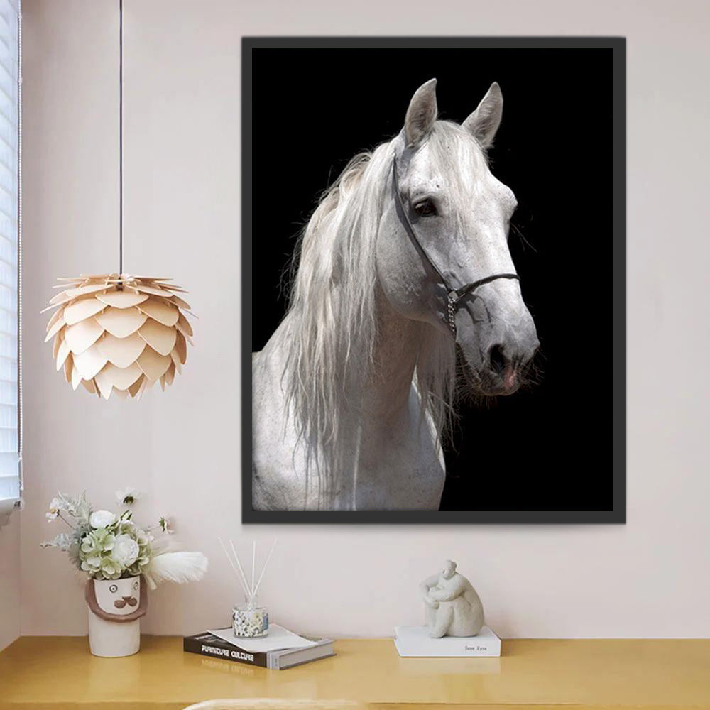 Caballo Blanco con Fondo Negro Pintar por Números
