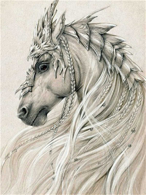 Caballo Blanco con Tocado Pintar por Números