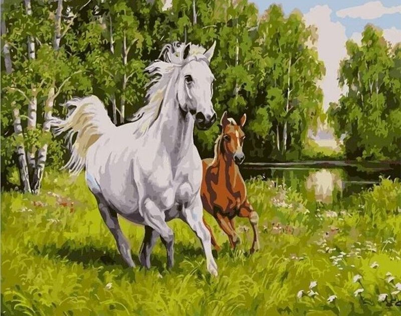 Caballo Blanco y Caballo Marrón Corriendo en Hierba Pintar por Números