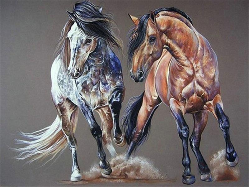 Caballo Blanco y Caballo Marrón Corriendo Pintar por Números