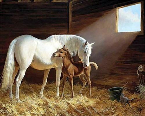 Caballo Blanco y Caballo Pequeño en Caballeriza Pintar por Números