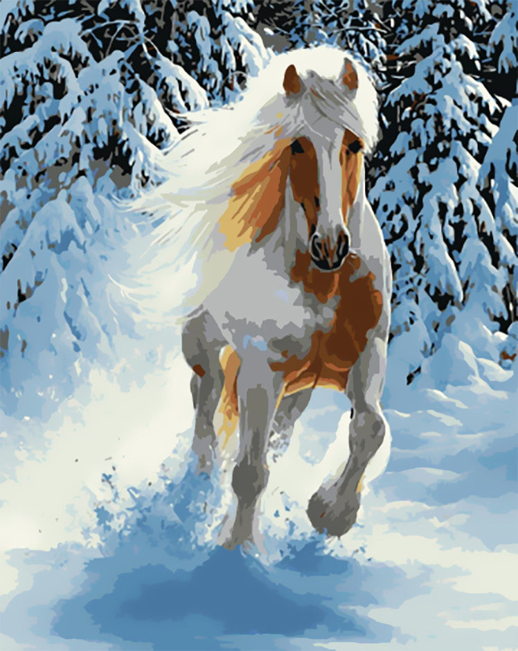 Caballo Blanco y Marrón Corriendo en la Nieve Pintar por Números