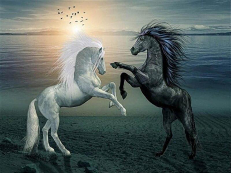 Caballo Blanco y Negro Peleando en Playa Pintar por Números