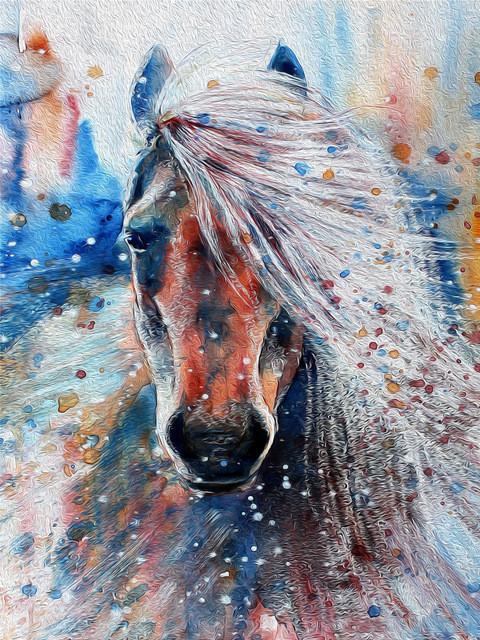 Caballo Colorido con Melena Blanca Pintar por Números