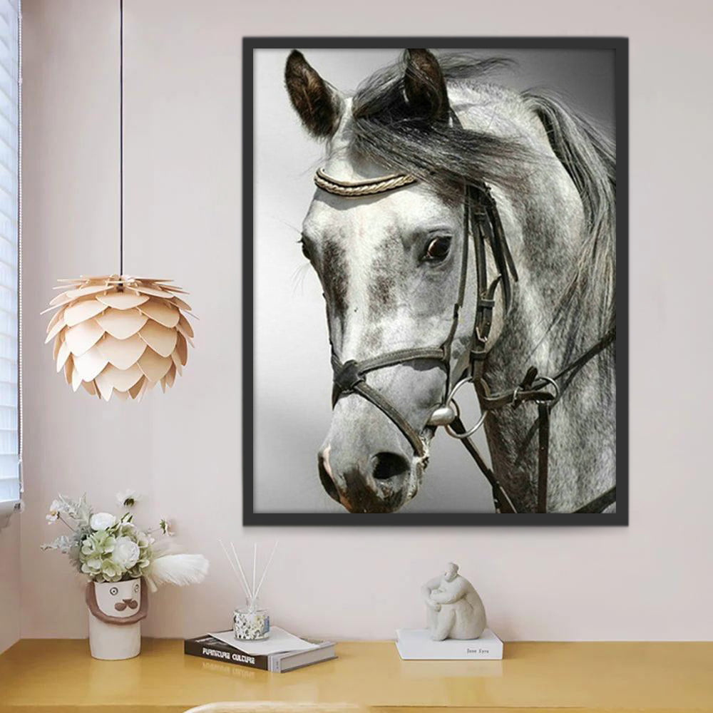 Caballo con Cabestro en Blanco y Negro Pintar por Números