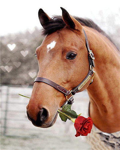 Caballo con Una Rosa Roja en Su Boca Pintar por Números