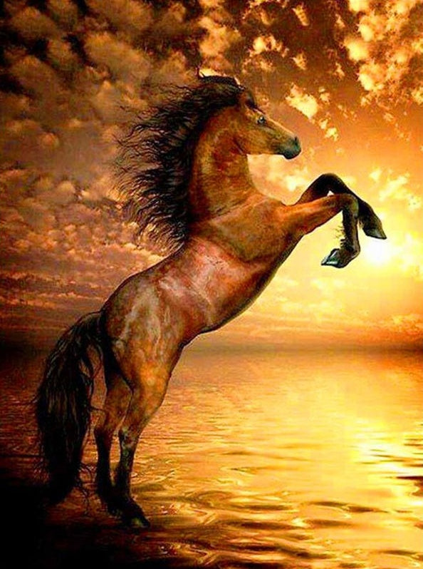 Caballo Marrón con Melena Negra en Playa Pintar por Números