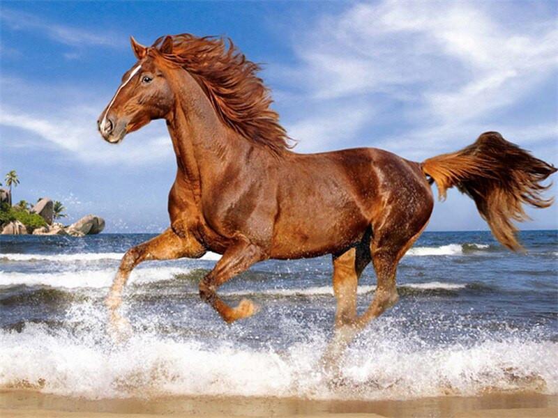 Caballo Marrón Corriendo en la Playa Pintar por Números