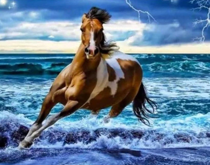 Caballo Marrón Corriendo en Olas Marinas Pintar por Números