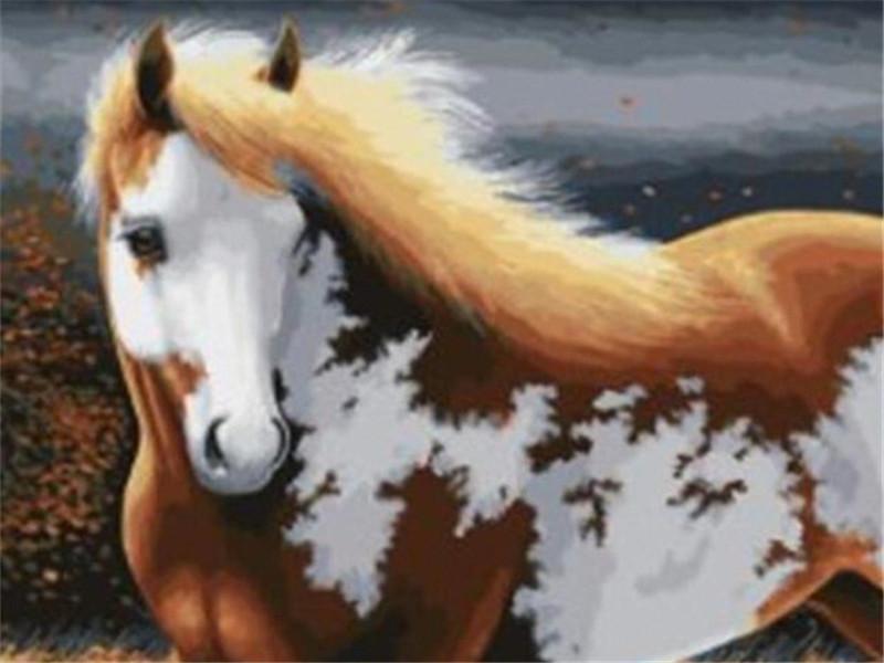 Caballo Marrón de Patrón Blanco Pintar por Números